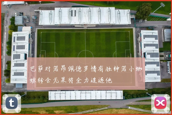 巴萨对若昂佩德罗情有独钟若小蜘蛛转会无果将全力追逐他