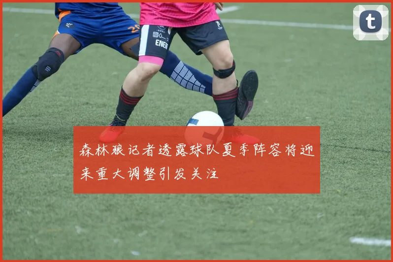森林狼记者透露球队夏季阵容将迎来重大调整引发关注